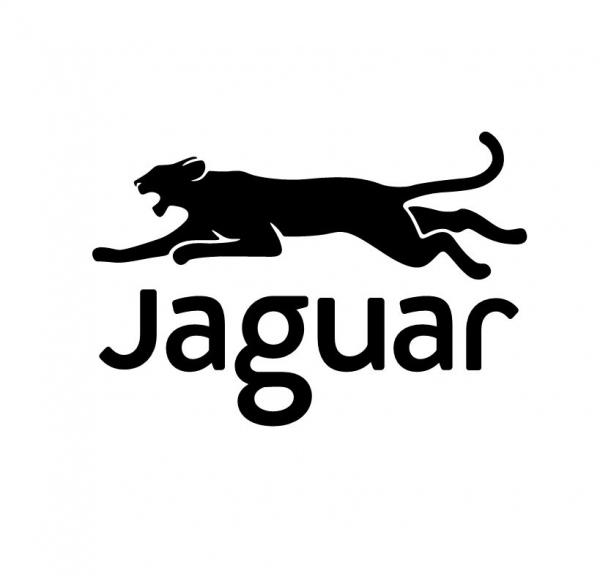 Znalezione obrazy dla zapytania jaguar wydawnictwo
