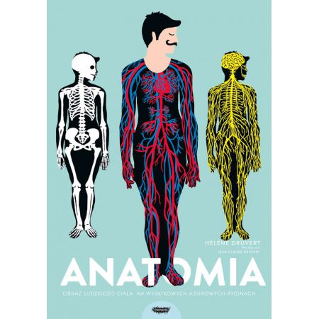 Uczyć się można nie tylko z podręczników! - &#8222;Anatomia. Obraz ludzkiego ciała na wyjątkowych ażurowych rycinach&#8221;,  Helene Druvert, wyd. Mamania 