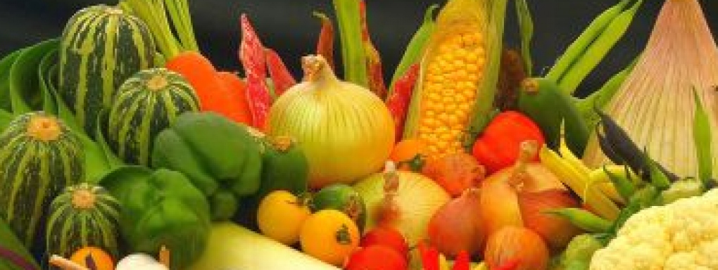 Warzywa w diecie dziecka &#8211; ważne zadanie dla rodziców 