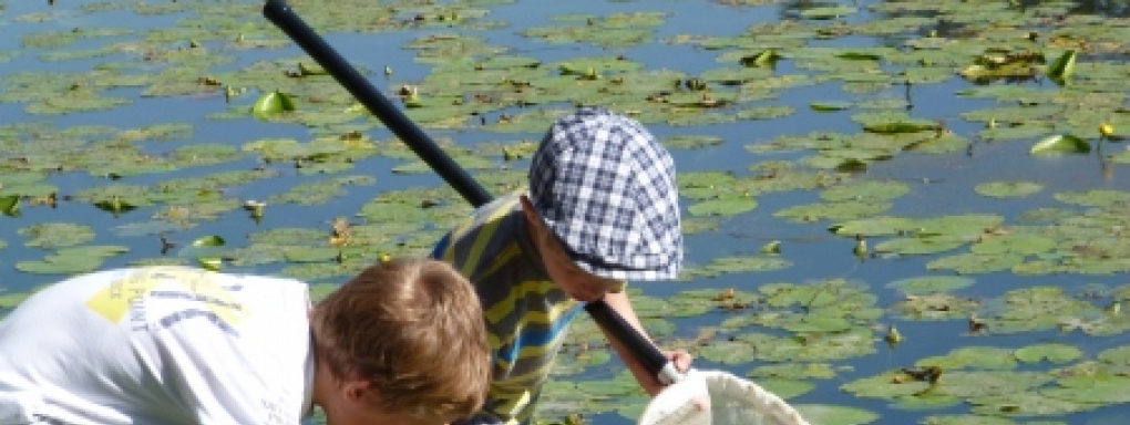 Co kryje Jezioro Wilanowskie - warsztaty dla rodzin z dziećmi