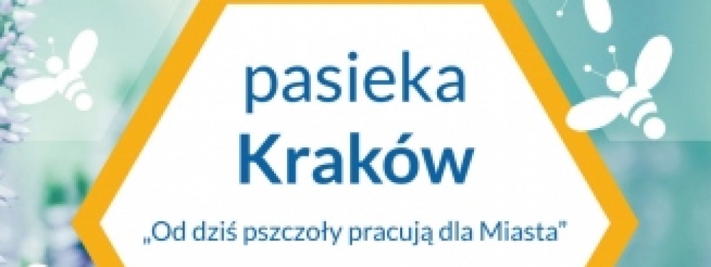 Konkurs - Pasieka Kraków