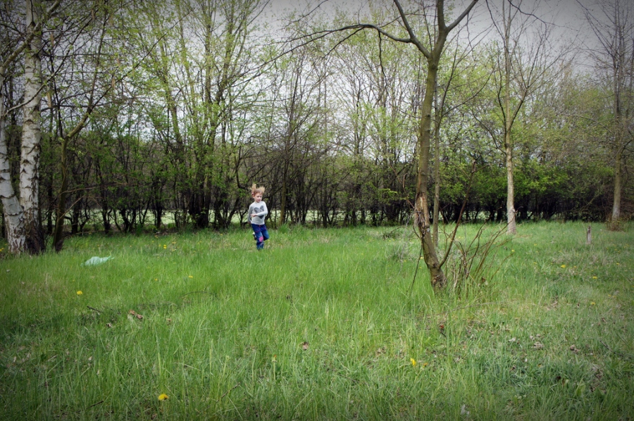 Twoje ulubione Wygibasy - konkurs fotograficzny (zakończony)