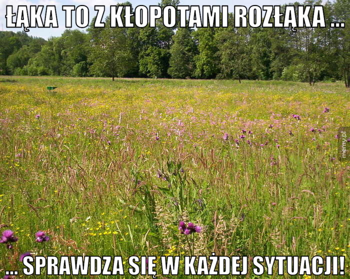 Sprawdza się w każdej sytuacji! (Zakończony)