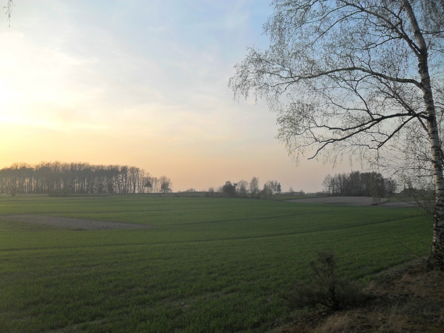 Razem, bo najcenniejszy jest wspólny czas... Wiosna, ach to Ty! (zakończony)