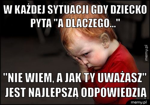 Sprawdza się w każdej sytuacji! (Zakończony)