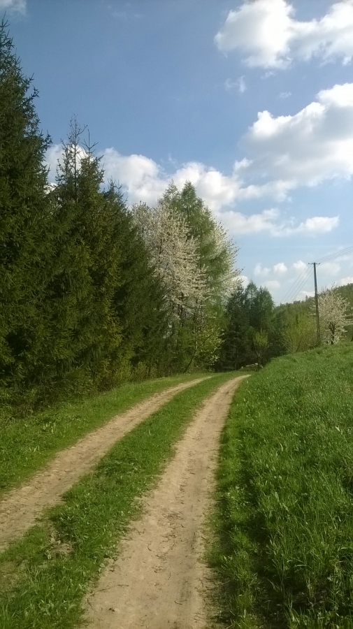 Wiosna, ach to Ty! - konkurs fotograficzny (zakończony)