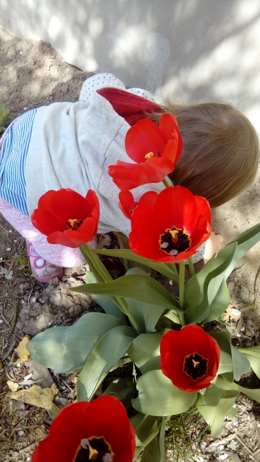 Wiosna, ach to Ty! - konkurs fotograficzny (zakończony)