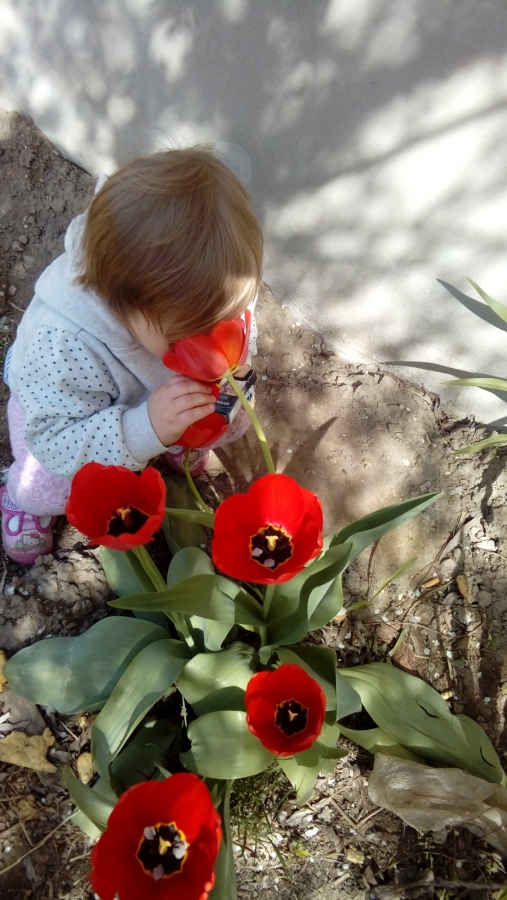 Wiosna, ach to Ty! - konkurs fotograficzny (zakończony)