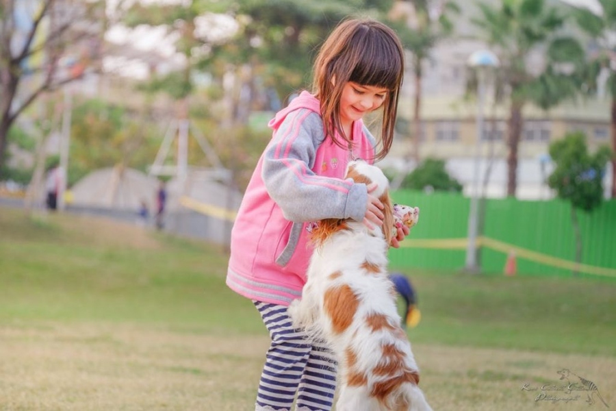 Dlaczego kupno psa dla dziecka to dobry pomysł? - Dzięki psu dziecko częściej wychodzi na dwór.