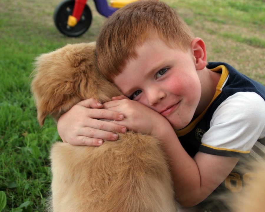 5 porad jak nauczyć dziecko bezpiecznej zabawy z psem