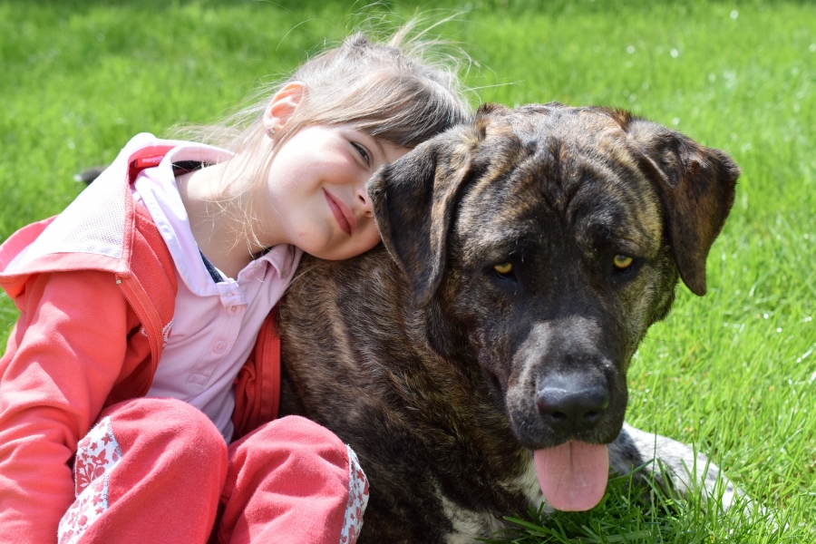 5 porad jak nauczyć dziecko bezpiecznej zabawy z psem