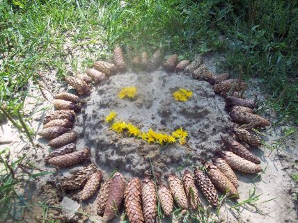 Nurkowanie w opalanie! (Zakończony)