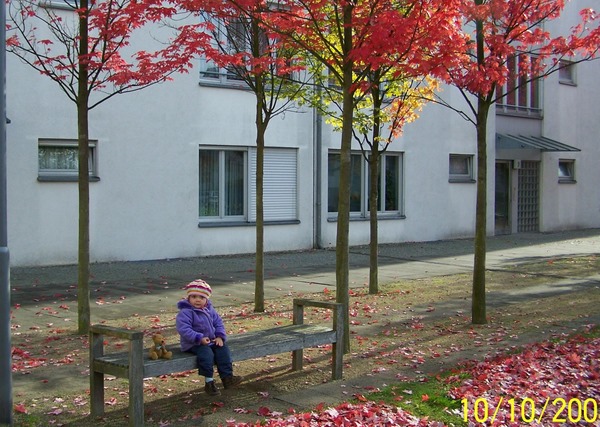 Zabierz Misia na wycieczkę! - konkurs fotograficzny (zakończony)