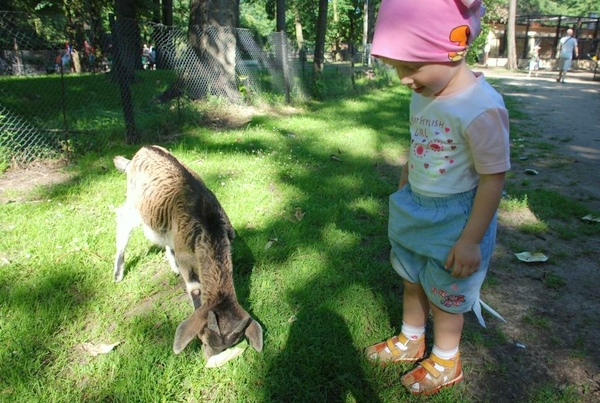 Małe Zoo Lucy (Zakończony)