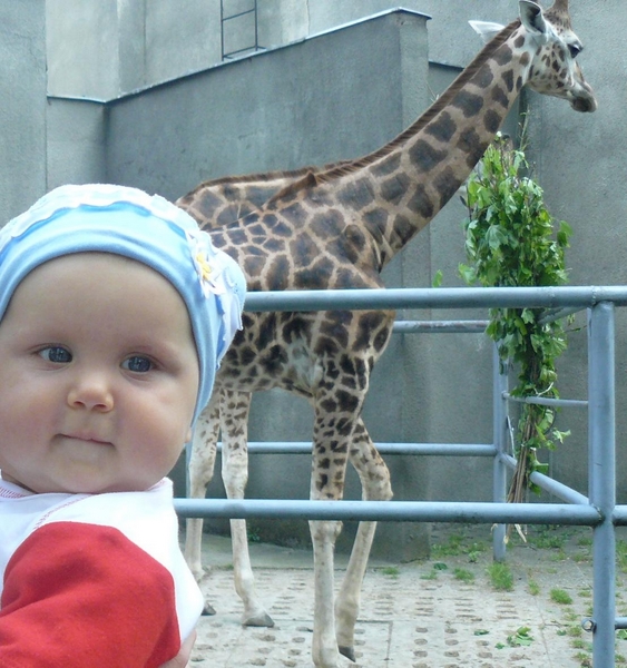 Małe Zoo Lucy (Zakończony)