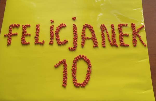 Felicjanek 10 (Zakończony)