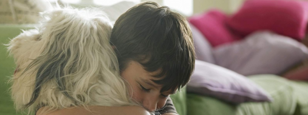 Dziecko i pies w jednym domu. Jak nauczyć malucha szacunku do zwierząt?
