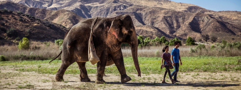 Filmowa parada słoni - od Dumbo do Flory