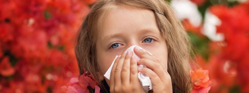 Skąd się bierze alergia?