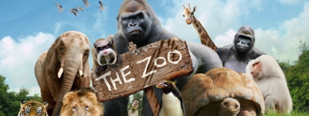 Wizyta w ZOO jeszcze nigdy nie była tak zabawna - premiera nowego serialu Boomeranga!