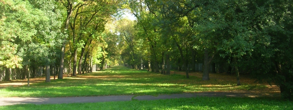 Park im. Józefa Piłsudskiego (Na Zdrowiu)
