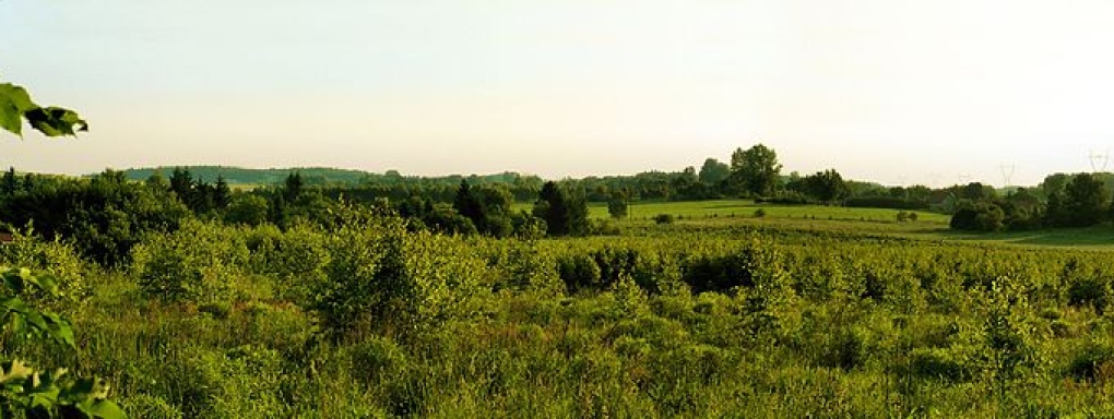 Park Krajobrazowy Wzniesień Łódzkich
