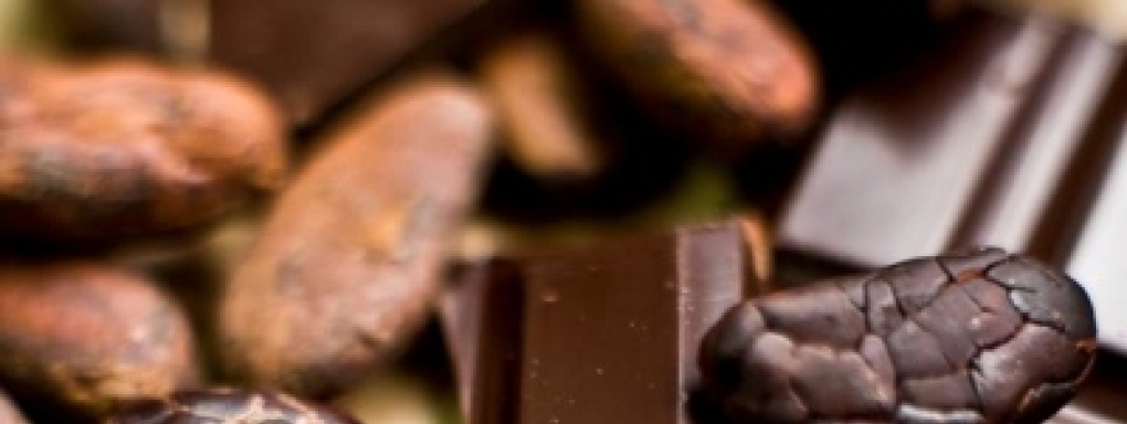 Warsztaty czekoladowe dla grup zorganizowanych