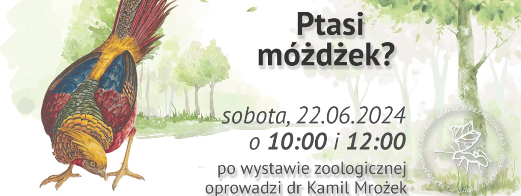 Ptasi móżdżek? - spacer edukacyjny