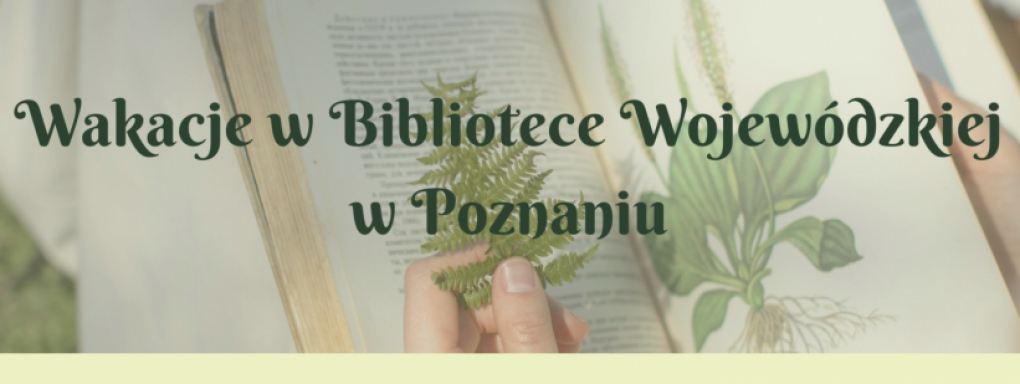 Wakacje w Bibliotece Wojewódzkiej w Poznaniu