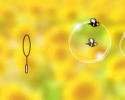 Orisinal - Bubble Bees (Pszczele Bańki)