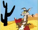 Kojot  i Struś Pędziwiatr - puzzle