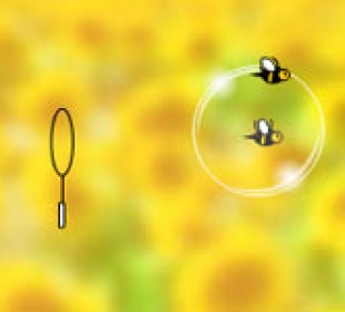 Orisinal - Bubble Bees (Pszczele Bańki)